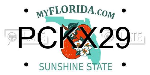 PCKX29 Florida License Plate