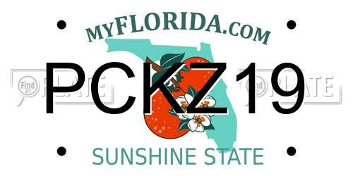 PCKZ19 Florida License Plate