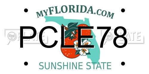 PCLE78 Florida License Plate