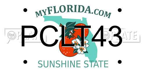 PCLT43 Florida License Plate