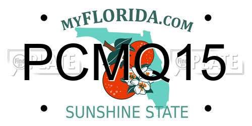 PCMQ15 Florida License Plate