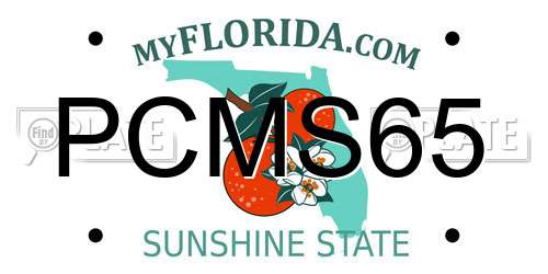 PCMS65 Florida License Plate