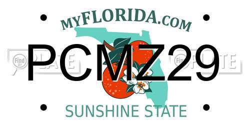 PCMZ29 Florida License Plate