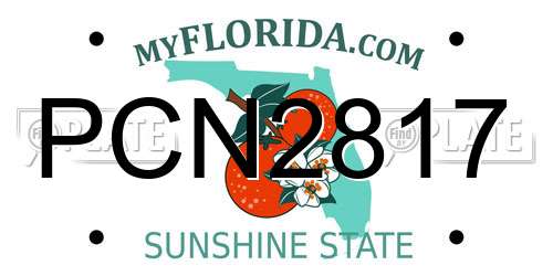 PCN2817 Florida License Plate