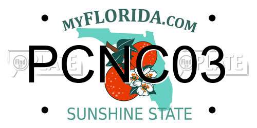 PCNC03 Florida License Plate