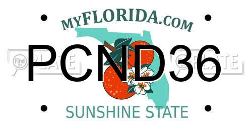 PCND36 Florida License Plate