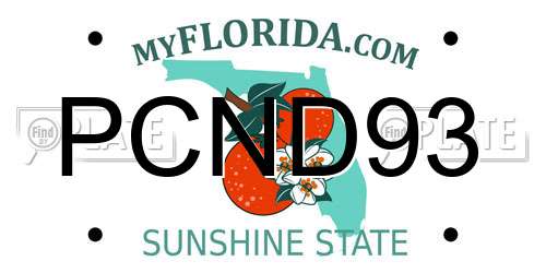 PCND93 Florida License Plate