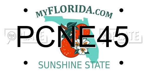 PCNE45 Florida License Plate