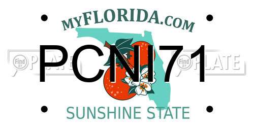 PCNI71 Florida License Plate