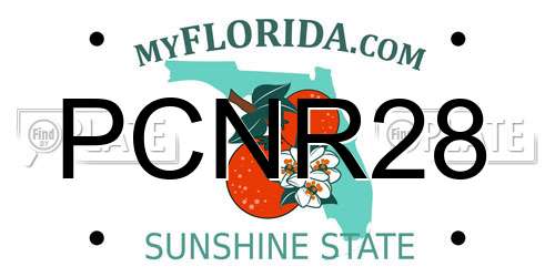 PCNR28 Florida License Plate