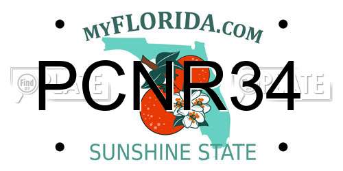 PCNR34 Florida License Plate
