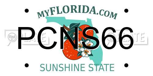 PCNS66 Florida License Plate