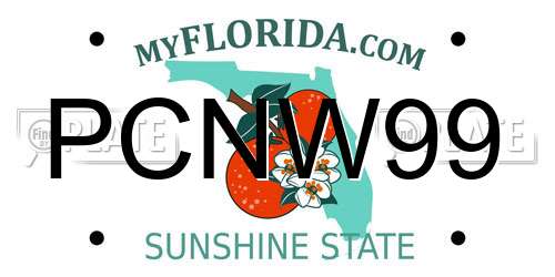 PCNW99 Florida License Plate