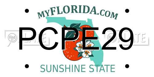 PCPE29 Florida License Plate