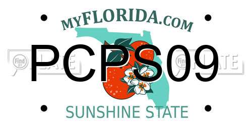 PCPS09 Florida License Plate