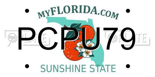 PCPU79 Florida License Plate