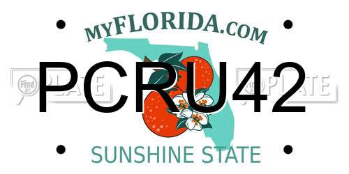 PCRU42 Florida License Plate