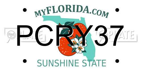 PCRY37 Florida License Plate