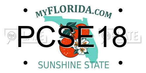 PCSE18 Florida License Plate