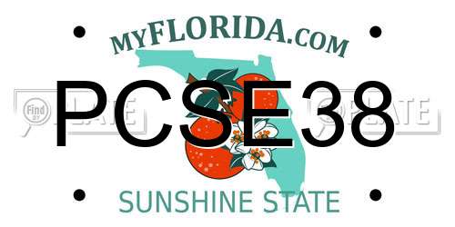PCSE38 Florida License Plate