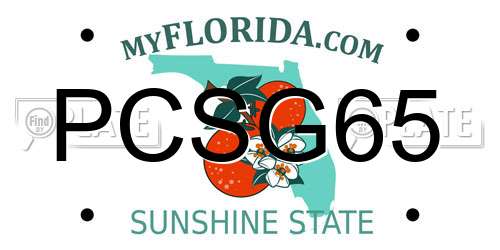PCSG65 Florida License Plate