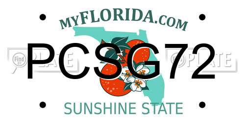 PCSG72 Florida License Plate