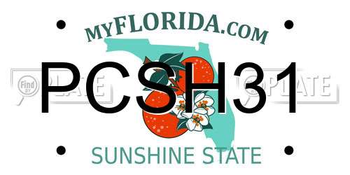 PCSH31 Florida License Plate