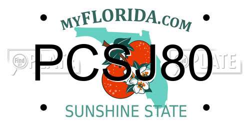 PCSJ80 Florida License Plate