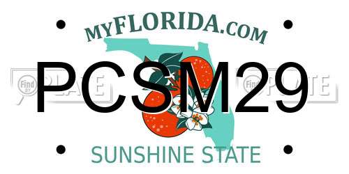 PCSM29 Florida License Plate