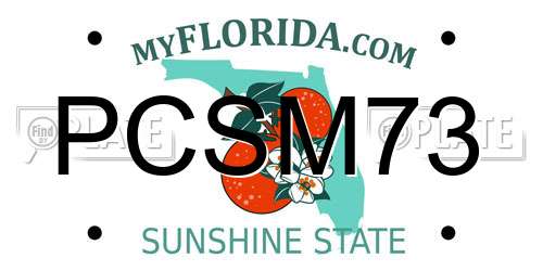 PCSM73 Florida License Plate