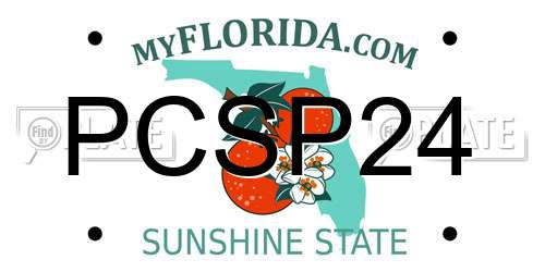 PCSP24 Florida License Plate
