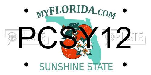 PCSY12 Florida License Plate