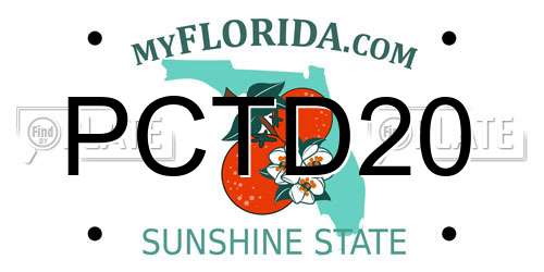 PCTD20 Florida License Plate