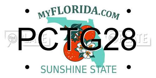 PCTG28 Florida License Plate