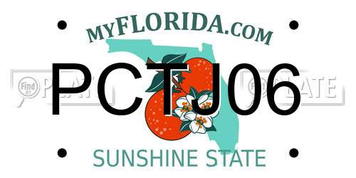 PCTJ06 Florida License Plate