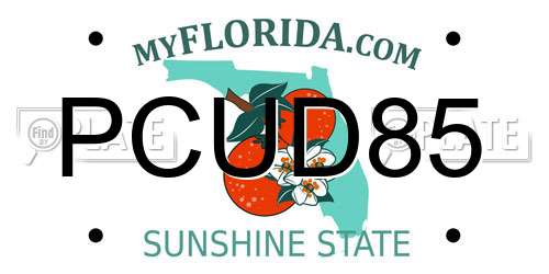 PCUD85 Florida License Plate