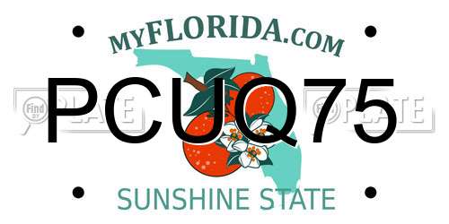 PCUQ75 Florida License Plate