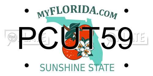 PCUT59 Florida License Plate