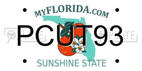 PCUT93 Florida License Plate