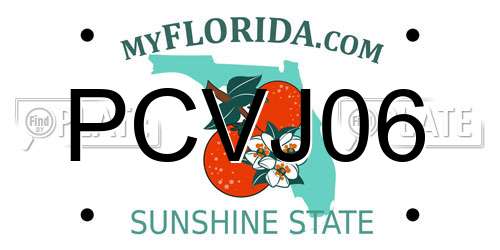 PCVJ06 Florida License Plate