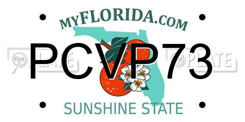 PCVP73 Florida License Plate