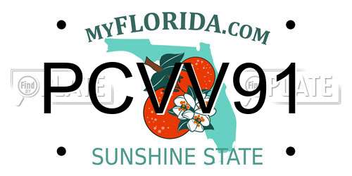 PCVV91 Florida License Plate