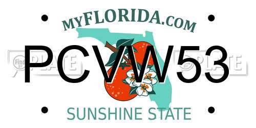 PCVW53 Florida License Plate