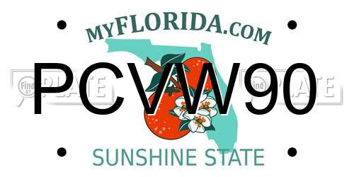 PCVW90 Florida License Plate