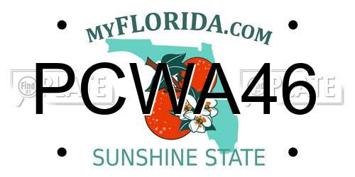 PCWA46 Florida License Plate
