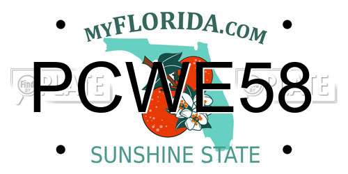 PCWE58 Florida License Plate