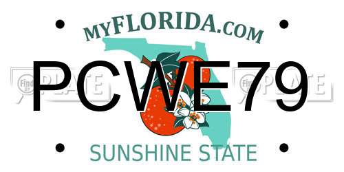 PCWE79 Florida License Plate