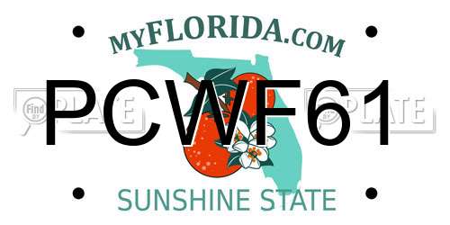PCWF61 Florida License Plate