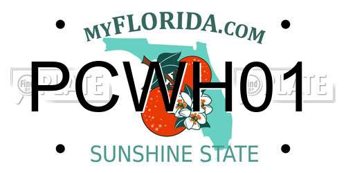 PCWH01 Florida License Plate
