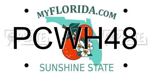 PCWH48 Florida License Plate
